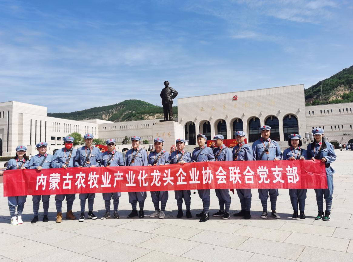 內(nèi)蒙古農(nóng)牧業(yè)產(chǎn)業(yè)化龍頭企業(yè)協(xié)會聯(lián)合黨支部赴延安革命圣地開展“學(xué)黨史、感黨恩、跟黨走”主題黨日活動