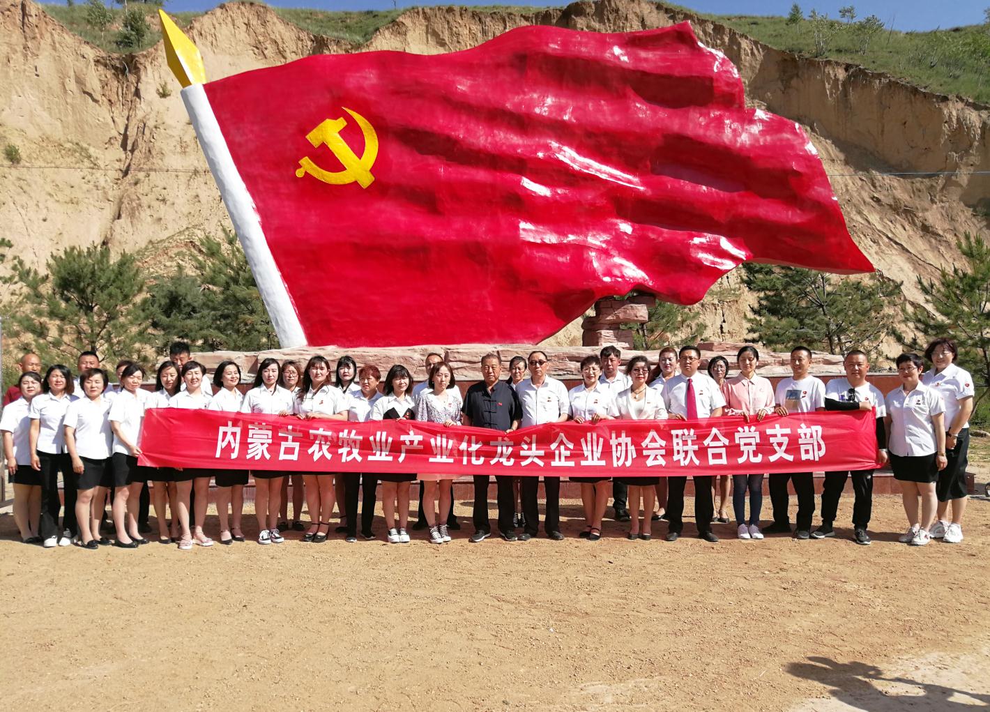 內(nèi)蒙古農(nóng)牧業(yè)產(chǎn)業(yè)化龍頭企業(yè)協(xié)會走進(jìn)石人灣村開展“辦實事、解難題，送溫暖，傳黨恩”公益活動